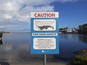 watch for alligators at charles cessna